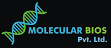 Molecular Bios