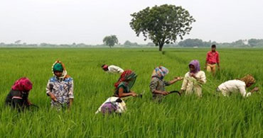 Agriculture